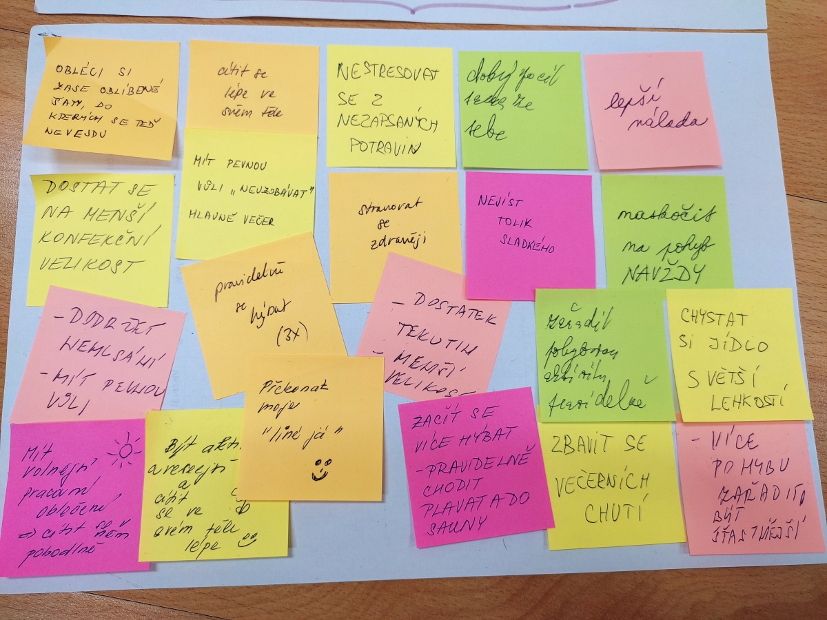 Co si dámy na začátku kurzu přály a na čem pracovaly?  