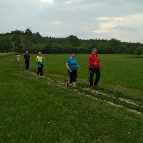 nordic walking Brno