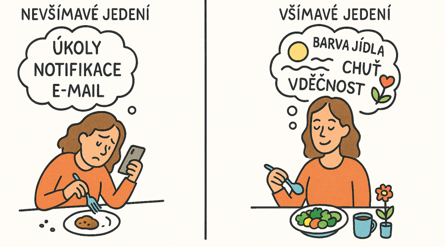 vsimave jedeni_sirka_vymlatilova