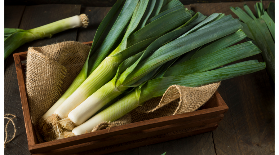 Krůtí prsa s pórkem a kukuřicí